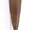 d-pterosaur-tooth